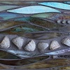 "Shell Dance"  by Jean Loney