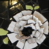 Blossom 1 by Donna Lieberman