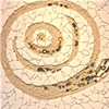 "Spiral"  by Donna Lieberman