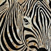 'Ebony & Ivory" by Cristina Ciloci