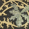 Oak and Acanthus by Lee Ann Petropoulos