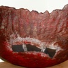 "Fragile Earth" by Heather Vollans