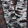 Birch by Suzanne Steeves