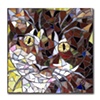 Kissa by Barbara Benson Keith