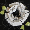 Blossom 3 by Donna Lieberman