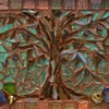 Autumn Tree by Sheri Roberson