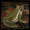 'Forest Frog' by Jean Loney