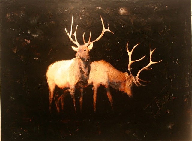 Elk