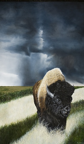 Bison