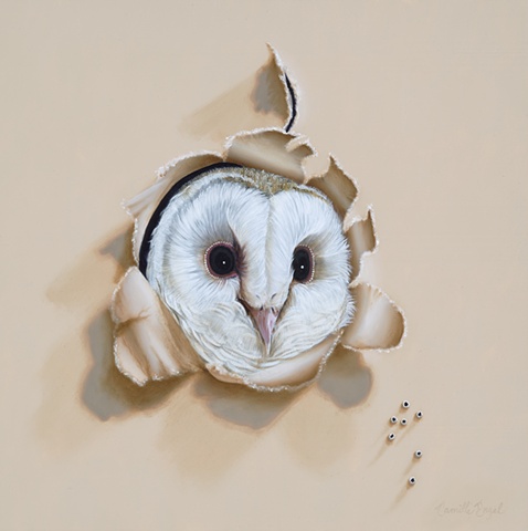 "Who-o-o's There?" Snowy Owl