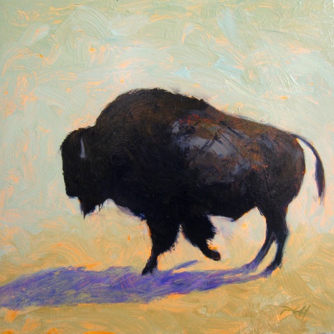 Buffalo Study 2