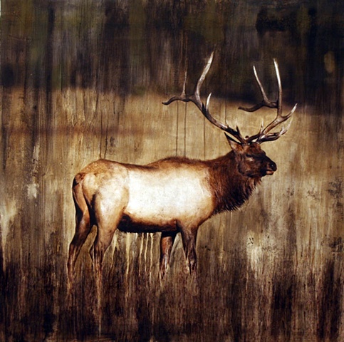 Elk I