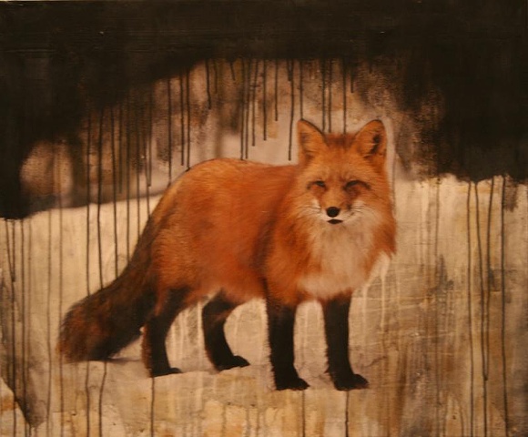 Snow Fox