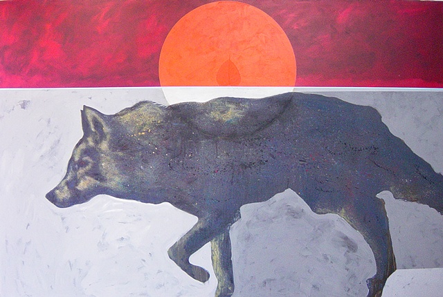 Plains Coyote