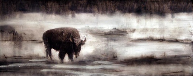 Buffalo in Wild