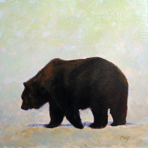 Bear Study 1