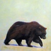Bear Study 2