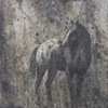 Stone Appaloosa 07217