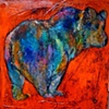 Glacier Bear