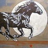 Last Moon Horse