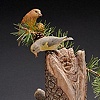 Teton Crossbills