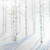 Aspen Grove in the Sadows r7g0