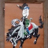 Wyoming Bronco