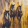 Three Stone Horses