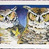 Wise Eyes
