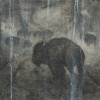 Stone Bison 