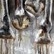 Sole Roots