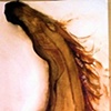 Leather Horse