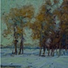 Cottonwoods in October