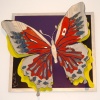 Butterfly  r15g0