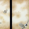 Flying High