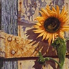 Old Factory Sunflower