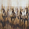 The Last Herd