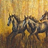 Eight Stone Herd