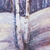 3 Birch 09341