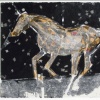 Winter ~ Horse 047 ~ r4g8