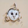 "Who-o-o's There?" Snowy Owl
