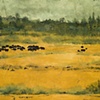 Pasture 48