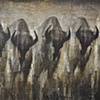 5 Woven Bison