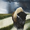 Bison
