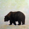 Bear Study 1