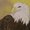 American Majesty
