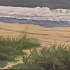 Before the Hurricane