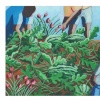 Melon Patch