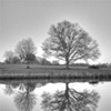 David Waldrop