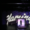 Flamingo Hotel